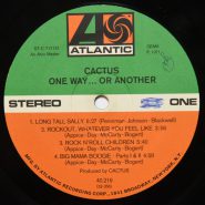 Cactus – One way… or another